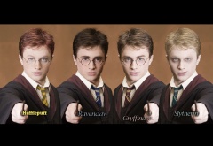 Гарри Поттер в четырех ипостасях