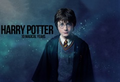 Гарри Поттер - 10 магических лет