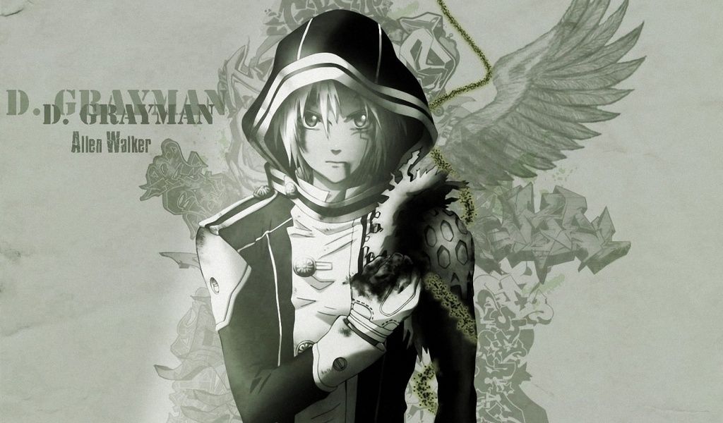  , d.gray-man, 