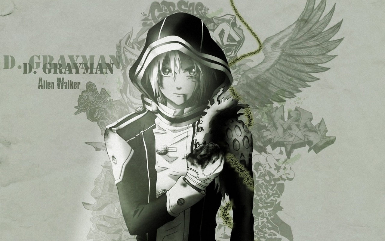  , d.gray-man, 