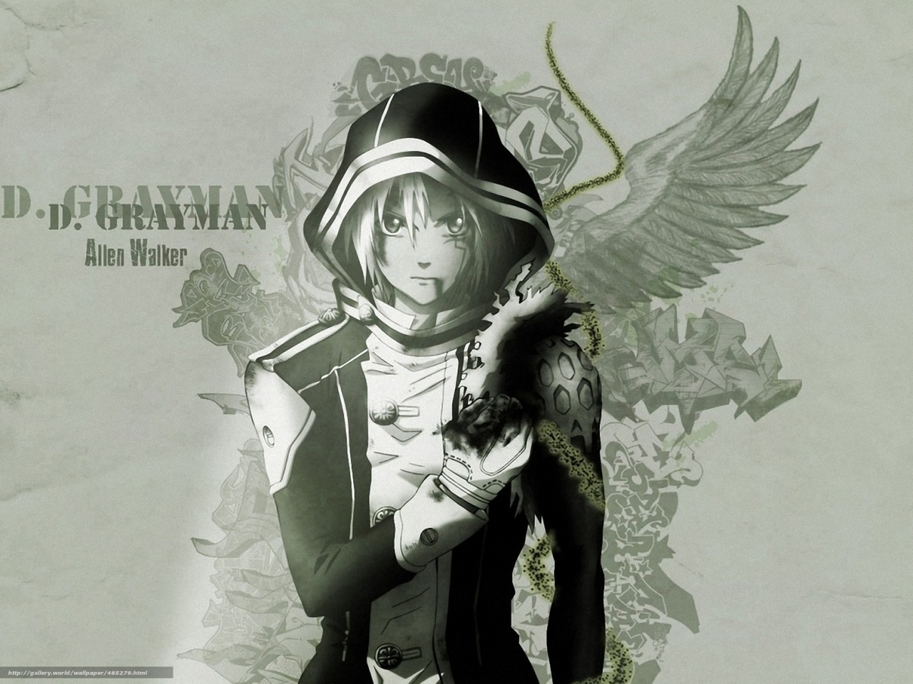 , d.gray-man, 