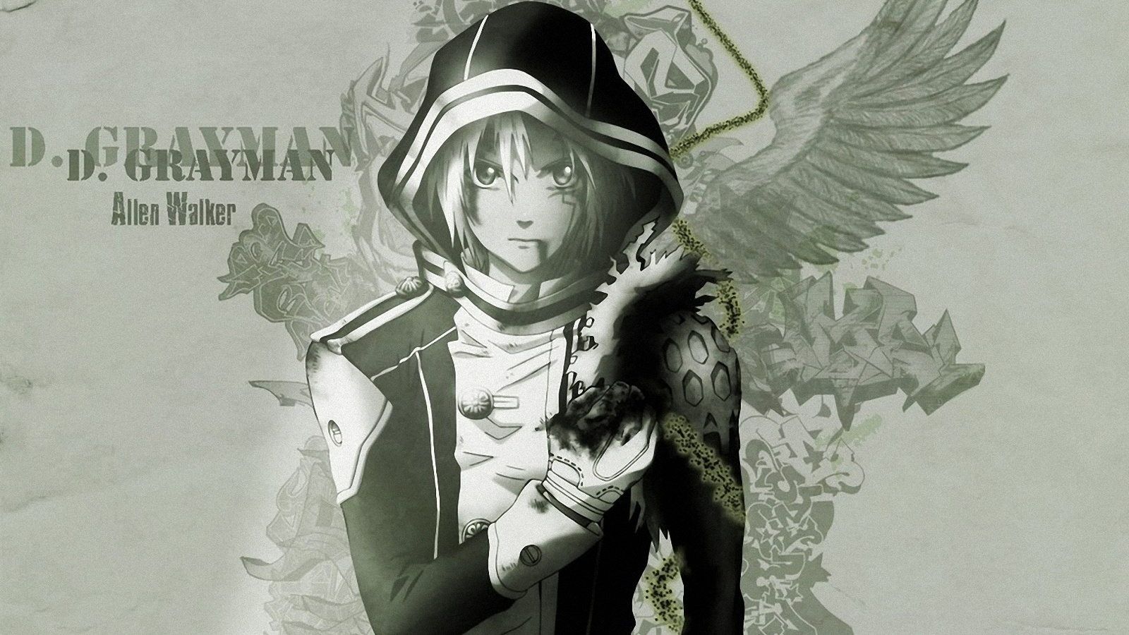  , d.gray-man, 