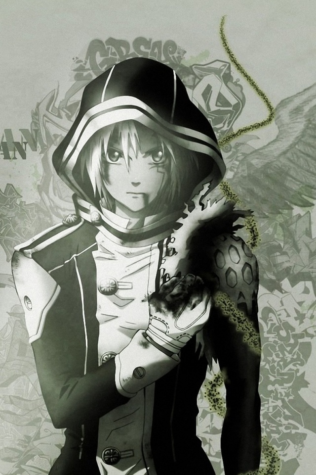  , d.gray-man, 