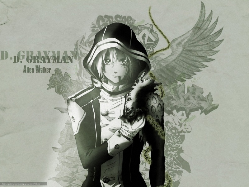 , d.gray-man, 